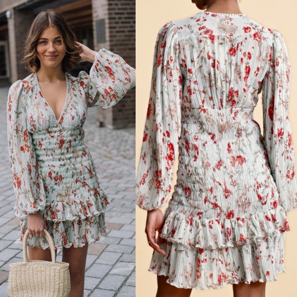 NWT By Timo Plisse Dress Mini Smocked Long Sleeve in Rose Garden Floral - Picture 2 of 6